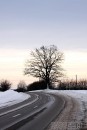Ziema foto