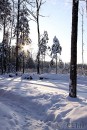 Ziema foto