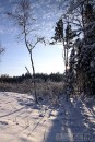 Ziema foto