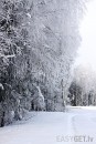 Ziema foto
