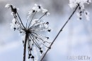 Ziema foto