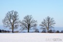 Ziema foto