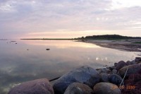 Sāremā salā Igaunijā šogad krietni aktīvākas kļuvušas odzes