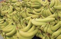 Policija piespiež zagli apēst 50 banānus