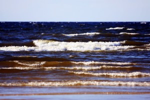 Baltijas jūrā izplatās asi dzeļošas medūzas