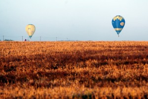 Rīgā turpinās 10. gaisa balonu festivāls „LMT kauss 2008”
