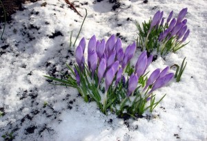 Arkādijas parkā un Bastejkalnā notiks pavasara sagaidīšanas svētki