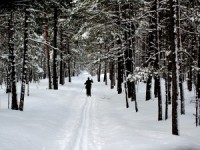 Sabiedrībā pazīstami cilvēki gatavojas Mammadaba slēpošanas maratonam