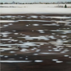 Vija Zariņa atklās gleznu izstādi „Sniegs un nauda”