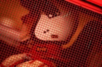 „Mūsā” aizvadīti pirmie kvalifikācijas braucieni