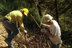 Britu vēstnieks nostiprina Balto kāpu