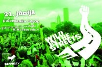 Emerica Wild in the Streets 2007