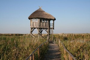 Skatīs strīdu par aizliegumu būvēt atpūtas kompleksu Papes dabas parka kāpās