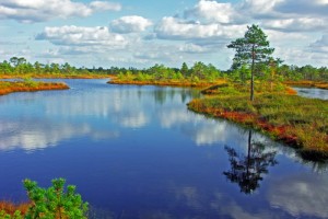 Ķemeru nacionālais parks apmācīs gidus darbam ar skolēnu grupām