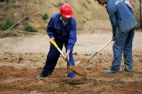 Īrijā pērn ieradušies vairāk nekā 130 000 austrumeiropiešu viesstrādnieku