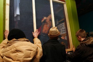 Andrejsalā demonstrēs īsfilmu izlasi "World Shorts"