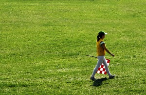 Lai pie mājas zaļotu skaists zāliens