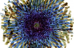 2ANNAS: Frīkvudā līdz 16 g.vec. neiesakām