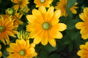 Rīgā turpinās pilsētas svētku svinības