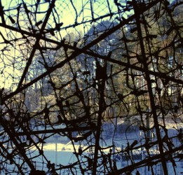 Atklās izstādi ""Šņore" ar klusas dinamikas akciju par tēmu: Autortiesību aizsardzība..."