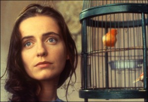 Latvijas Universitātē būs skatāms Portugāles filmu cikls