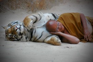 LTV7 aprīlī skatītājiem piedāvās brīnumus, piedzīvojumus un azartu