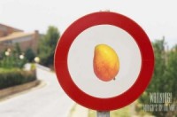 Grupa „ManGO” ieraksta jaunu dziesmu