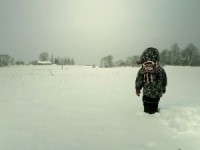 „Sovvaļnīks” piedāvā otru singlu