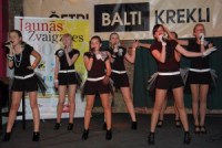 Tuvojas konkursa „Jaunās zvaigznes 2009” fināls