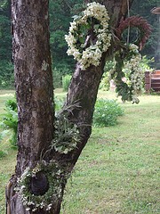 Zaļi padomi un jautras idejas dabai un cilvēkiem draudzīgai līgošanai