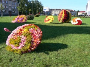 Valmierā augustā notiks Ziedu svētki „Uzziedi, Valmiera!”