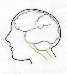 Alkohols un diendusa uzlabo atmiņu