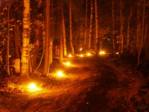 Uguns nakts Vienkoču parkā