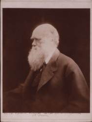 Latvijas Universitātē notiks atklāta konference “Dzīve, dzīvība, evolūcija”