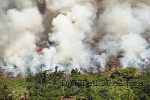 Sony piedalīsies Bright Green izstādē