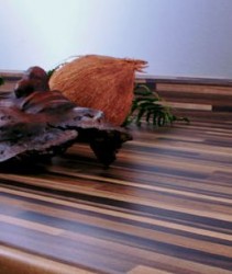 Virtuves virsmu izpārdošana