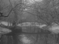 Tiks atklāta Aritas Mazalo personālizstāde "Dūmakā"