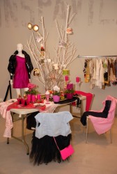 Šampanietis kurpēs un kūciņas piesnigušos zaros jeb atklāta Stils Bez Tabu Laboratorija