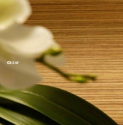 Accenta Outlet skapīši tagad arī ar izmeklētajām Cleaf fasādēm