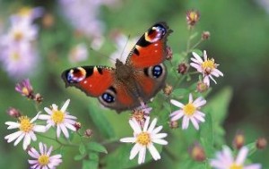 Mākslas darbinieku namā notiks „Ķiparu darbnīca” bērniem un vecākiem