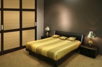 Iebūvējamie skapji dažādām mājokļa telpām- guļamistabai, viesistabai un bērnu istabai