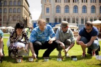 Gunārs Upatnieks un oķestra „Sinfonietta Rīga“ mūziķi sēj kokus