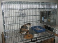 DU Labdarības akcijas ziedojumi sasnieguši savu mērķi