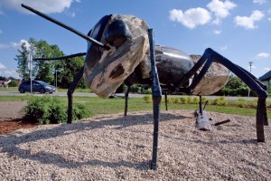 Siguldā atklās vides objektu „ Skudra"