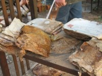 Sarīkojumā aicina uzzināt vairāk par jaunatrasto Zentas Mauriņas arhīvu