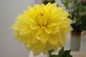 Šodien tiek svinēta Starptautiskā skolotāju diena