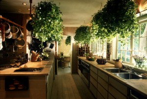 Ēdamistaba un virtuve pēc Fen Šui sistēmas