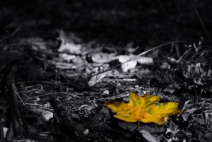 Klubā "Nabaklab" gaidāma saruna par mūziku un skumjām