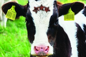 Rakstniecības un mūzikas muzejā atklās izstādi "Zeme un mīlestība"