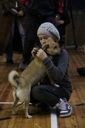 Juglas suņu patversmei saziedots 830 latu